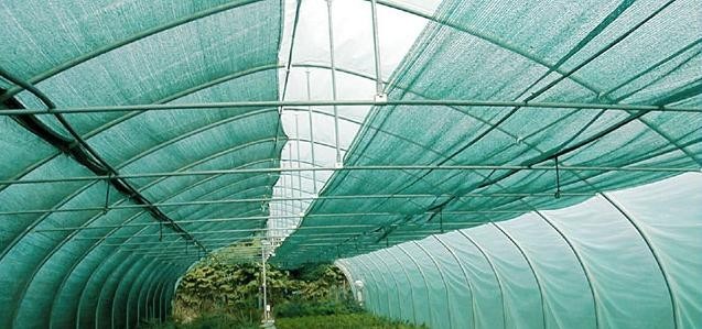 SCHATTIERNETZ 40% 3m Breite (Meterware) Sonnenschutz Pflanzenschutz Netz