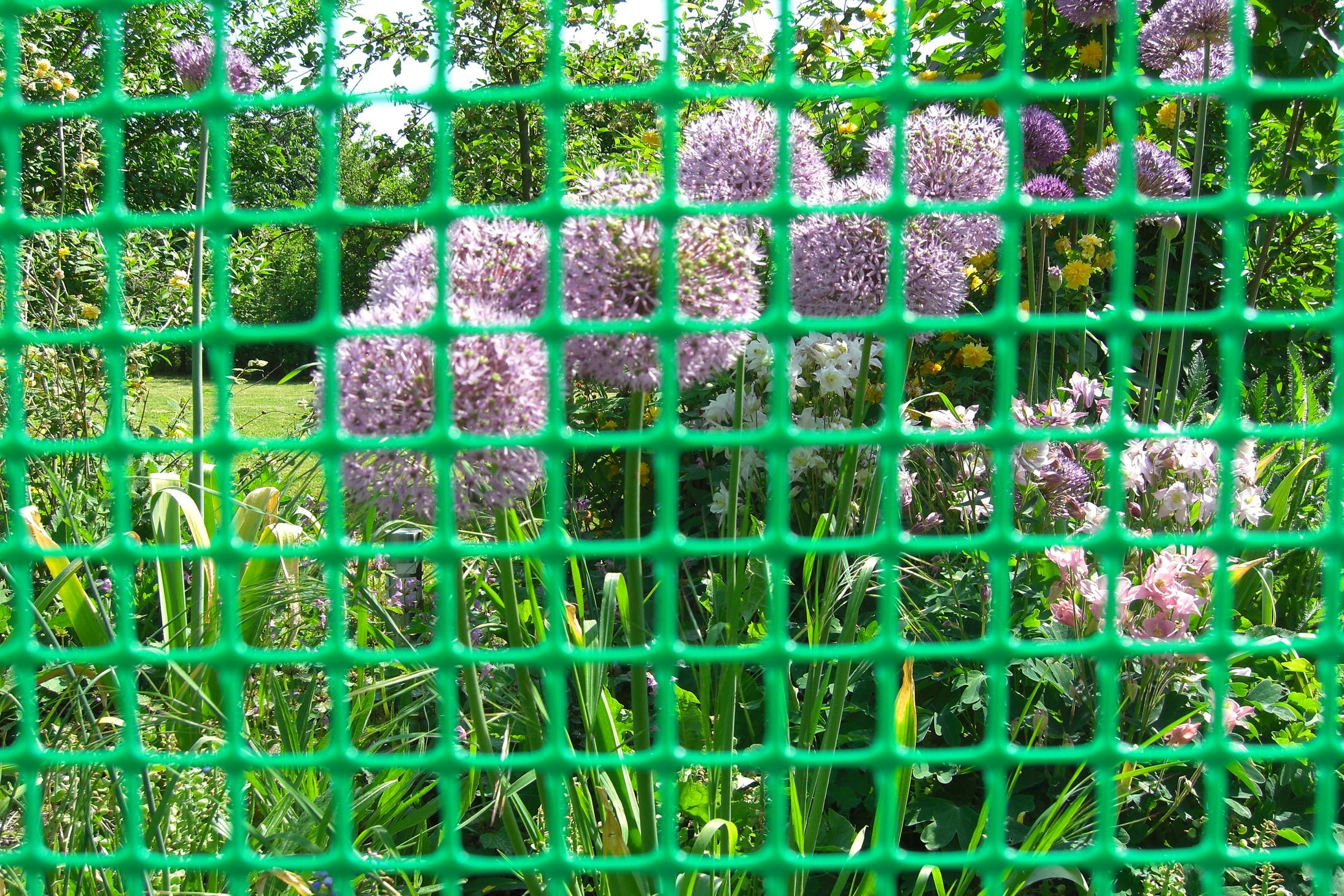 KUNSTSTOFFZAUN in 1,2m Höhe Geflügelzaun Hühnerzaun (Meterware) grün